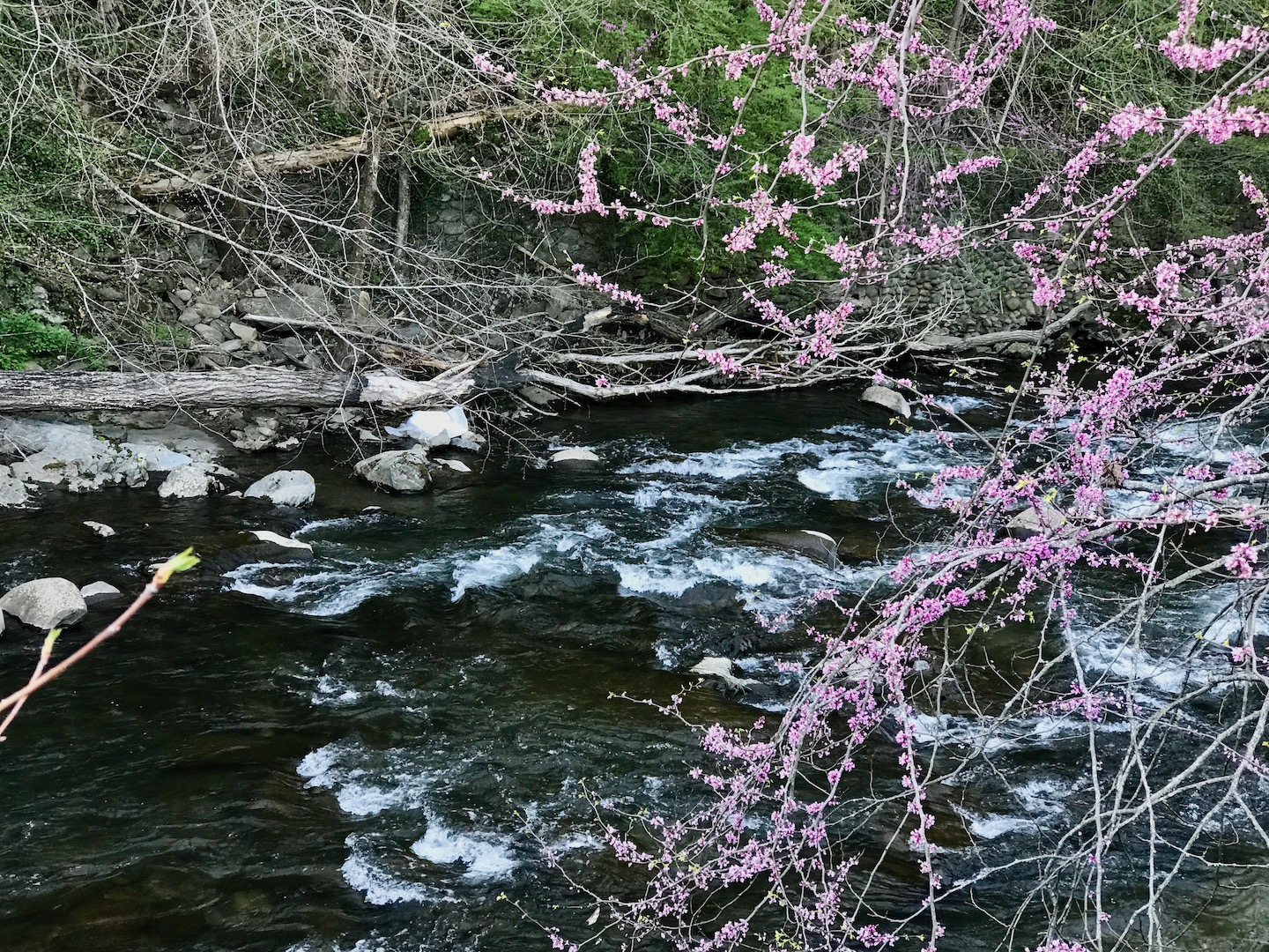 Smoky Mountains National Park